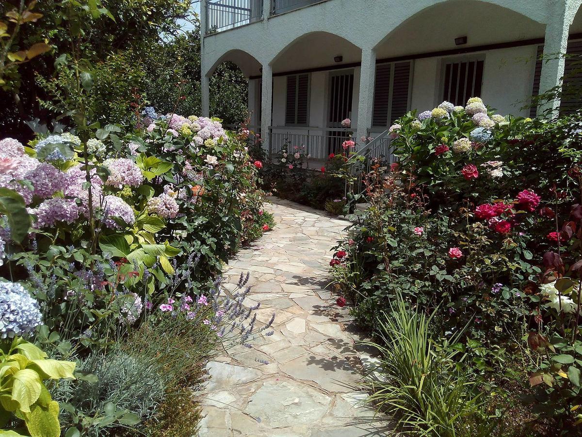 Margarita Apartments Preveze Dış mekan fotoğraf