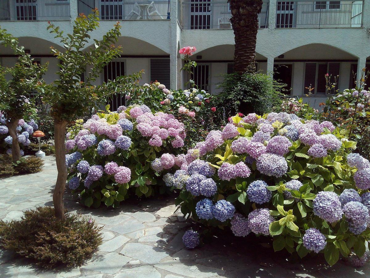 Margarita Apartments Preveze Dış mekan fotoğraf